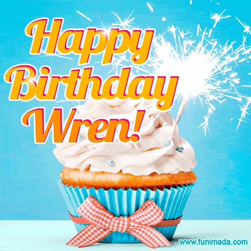 Happy Birthday, Wren! Elegant cupcake with a sparkler.