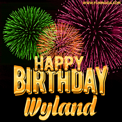 Wishing You A Happy Birthday, Wyland! Best fireworks GIF animated greeting card.