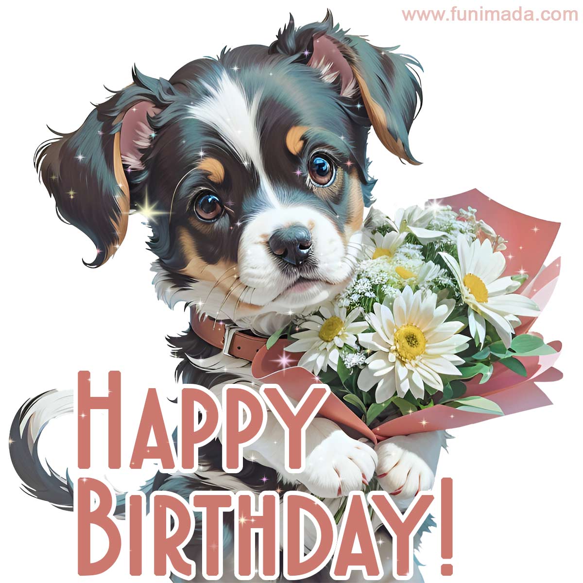 Cute puppy holds a bouquet of daisies in his paws. New original happy birthday image.