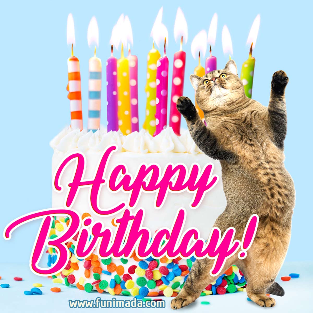 Fun and festive happy birthday image: yummy cake and funny dancing cat