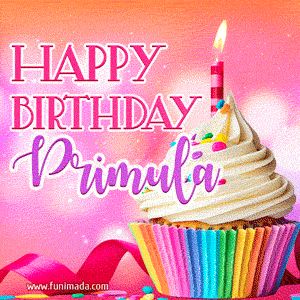 Happy Birthday Primula - Lovely Animated GIF