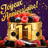 Une animation de célébration d'un gâteau de 11ème anniversaire, Des étoiles dorées tombent du ciel, mettant en valeur le texte 'Joyeux Anniversaire !' et le nombre doré 11 à l'avant du gâteau.
