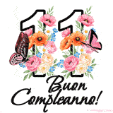 Questo GIF di Buon 11° Compleanno mostra il numero venti riempito con un vibrante bouquet di fiori animati, con farfalle che si muovono dolcemente su uno sfondo bianco.