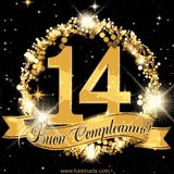 Il numero 14 è circondato da un anello dorato brillante, accompagnato da un nastro elegante con la scritta 'Buon Compleanno!' su uno sfondo scuro.