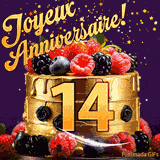 Une animation de célébration d'un gâteau de 14ème anniversaire, Des étoiles dorées tombent du ciel, mettant en valeur le texte 'Joyeux Anniversaire !' et le nombre doré 14 à l'avant du gâteau.