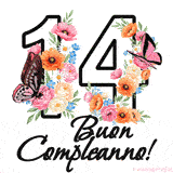 Questo GIF di Buon 14° Compleanno mostra il numero venti riempito con un vibrante bouquet di fiori animati, con farfalle che si muovono dolcemente su uno sfondo bianco.