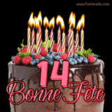 GIF animé pour un 14e anniversaire avec un somptueux gâteau au chocolat décoré de baies fraîches, des bougies allumées et le texte '14 Bonne Fête!' en rouge.