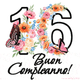 Questo GIF di Buon 16° Compleanno mostra il numero venti riempito con un vibrante bouquet di fiori animati, con farfalle che si muovono dolcemente su uno sfondo bianco.