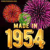 A celebratory golden animation reading 'Made in 1954,' with bright, colorful fireworks bursting in the background to mark a memorable occasion.