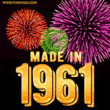 A celebratory golden animation reading 'Made in 1961,' with bright, colorful fireworks bursting in the background to mark a memorable occasion.