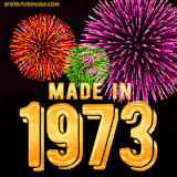 A celebratory golden animation reading 'Made in 1973,' with bright, colorful fireworks bursting in the background to mark a memorable occasion.