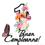 Questo GIF di Buon 1° Compleanno mostra il numero venti riempito con un vibrante bouquet di fiori animati, con farfalle che si muovono dolcemente su uno sfondo bianco.
