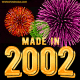 A celebratory golden animation reading 'Made in 2002,' with bright, colorful fireworks bursting in the background to mark a memorable occasion.