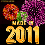 A celebratory golden animation reading 'Made in 2011,' with bright, colorful fireworks bursting in the background to mark a memorable occasion.