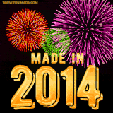 A celebratory golden animation reading 'Made in 2014,' with bright, colorful fireworks bursting in the background to mark a memorable occasion.