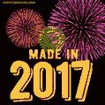 Made in 2017 GIF