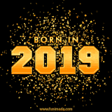 A sparkling black and gold animation with bold golden text reading 'Born in 2019,' surrounded by shimmering confetti.