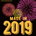Made in 2019 GIF