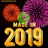 A celebratory golden animation reading 'Made in 2019,' with bright, colorful fireworks bursting in the background to mark a memorable occasion.
