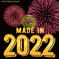 Made in 2022 GIF