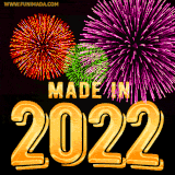 A celebratory golden animation reading 'Made in 2022,' with bright, colorful fireworks bursting in the background to mark a memorable occasion.