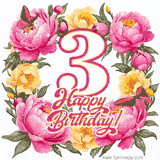 A celebratory GIF image features the animated number '3' and the words 'Happy Birthday!' surrounded by pink and yellow flowers. Two moving butterflies are included in this festive design.