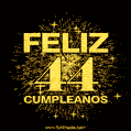GIF animado para cumpleaños con el número 44 - feliz cumpleaños gif de fuegos artificiales