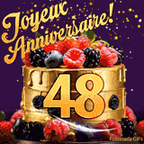 Une animation de célébration d'un gâteau de 48ème anniversaire, Des étoiles dorées tombent du ciel, mettant en valeur le texte 'Joyeux Anniversaire !' et le nombre doré 48 à l'avant du gâteau.