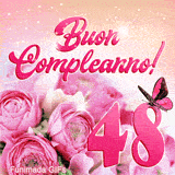 GIF dei 48 anni che presenta rose rosa, numero quarantotto e una farfalla rosa in movimento su sfondo di scintille dorate.