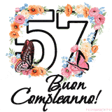 Questo GIF di Buon 57° Compleanno mostra il numero venti riempito con un vibrante bouquet di fiori animati, con farfalle che si muovono dolcemente su uno sfondo bianco.