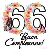 Questo GIF di Buon 66° Compleanno mostra il numero venti riempito con un vibrante bouquet di fiori animati, con farfalle che si muovono dolcemente su uno sfondo bianco.