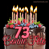GIF animé pour un 73e anniversaire avec un somptueux gâteau au chocolat décoré de baies fraîches, des bougies allumées et le texte '73 Bonne Fête!' en rouge.