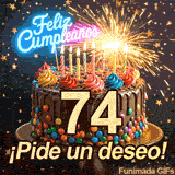 Torta cubierta de detalles coloridos con el número 74 al frente. Una bengala lanza chispas rodeada de estrellas doradas descendiendo suavemente.