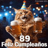 Gato pelirrojo celebrando con un gorrito a rayas y dos tarros cerveceros rodeado de luces de fiesta nocturna. La frase es 89 Feliz Cumpleaños.