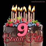 GIF animé pour un 9e anniversaire avec un somptueux gâteau au chocolat décoré de baies fraîches, des bougies allumées et le texte '9 Bonne Fête!' en rouge.