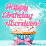 A festive cupcake with pink icing, a gingham bow, and a lit animated sparkler, paired with 'Happy Birthday Aberdeen!' in bright pink text.