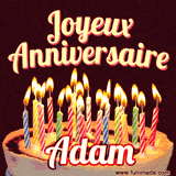 A Happy Birthday GIF in French featuring a festive birthday cake adorned with bright candles and the glowing text 'Joyeux Anniversaire Adam' in a cheerful style.
