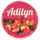 Beautifully decorated red velvet berry birthday cake with vibrant fruits and a glowing 'Adilyn' name, adding a touch of sweetness and sparkle.