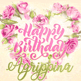 A stunning heart made of pink roses surrounds the elegant script text 'Happy Birthday Agrippina' on a soft beige background. Animated sparkles add a magical and festive feel.