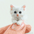 A baby-white kitten perches delicately on a manicured fingertip in this dreamy AI GIF. Its soft fur and innocent blue eyes create a surreal moment.