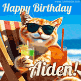A cheerful cat wearing sunglasses, enjoying drinks on a sunny beach chair, with the text 'Happy Birthday Aiden!' in bright letters.