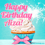A festive cupcake with pink icing, a gingham bow, and a lit animated sparkler, paired with 'Happy Birthday Aiza!' in bright pink text.