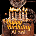 Chocolate Happy Birthday Cake for Aliani (GIF)