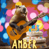 Animated birthday GIF showing a capybara playing guitar and singing beside a birthday cake with the name Amber in large letters and colorful bokeh lights in the background.