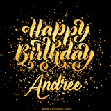 Animated GIF with colorful, festive 'Happy Birthday Andree' text decorated with patterns, a party hat, and falling confetti. A vibrant and cheerful design for birthday celebrations.