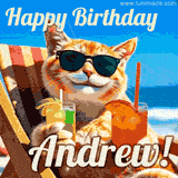A cheerful cat wearing sunglasses, enjoying drinks on a sunny beach chair, with the text 'Happy Birthday Andrew!' in bright letters.
