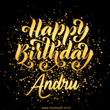Animated GIF with colorful, festive 'Happy Birthday Andru' text decorated with patterns, a party hat, and falling confetti. A vibrant and cheerful design for birthday celebrations.