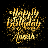 Animated GIF with colorful, festive 'Happy Birthday Aneesh' text decorated with patterns, a party hat, and falling confetti. A vibrant and cheerful design for birthday celebrations.