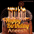 Chocolate Happy Birthday Cake for Aneesh (GIF)