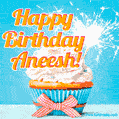 A cheerful animated GIF of a cupcake with creamy frosting, a red checkered ribbon, and a bright sparkler on top. The text 'Happy Birthday Aneesh!' is displayed in vibrant orange and red.
